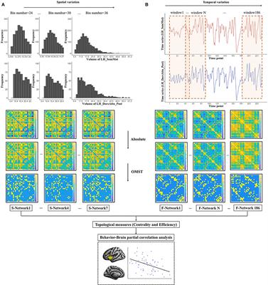 State and Trait Anxiety Share Common Network Topological Mechanisms of Human Brain